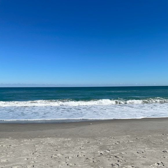 🌻meet your seller🌻 - Picture 3 of 4